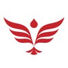 星空无限传媒在线观看电视剧免费手机版